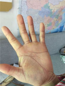 南宁哪里有准手相大师，能看深圳老街的手相？