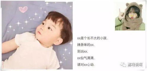 双子座案例分析