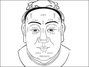 天庭饱满与官禄运势的相关性探微