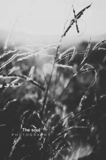 灵魂交易：诱惑与代价