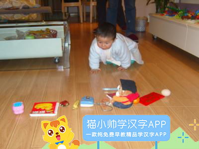 1. 祭拜祖先与祈福环节