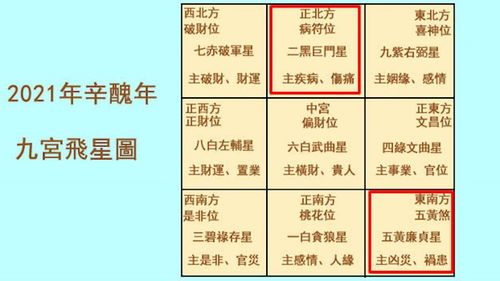 四、 个体化调适提议：从佩戴吉祥物到居家布局全链条优化