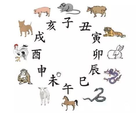 说长道短打一生肖最佳是蛇，尺有所短打一准确生肖是什么意思？改写为：尺有所短，哪个生肖最贴切？