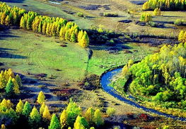 伊春北线之旅：迷失在森林里？一场过时攻略的教训