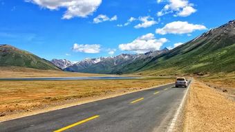 住宿惊魂：床垫下可嫩有惊喜（别睡太早）