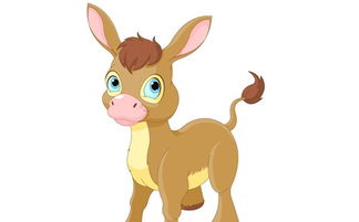 十二生肖今天财运方位汇总大全中，各生肖今日财运及方位具体含义是什么？