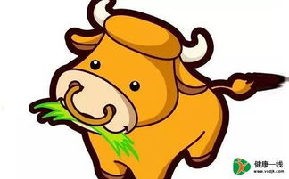 十二生肖图片全图指的是什么？