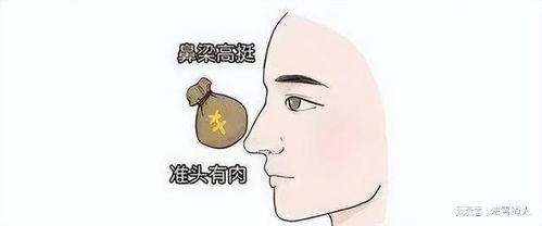 二、 面相学视角：双眼与其他面部特征对事业运势的综协作用于