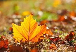 立秋这天出生对孩子运势有影响吗？