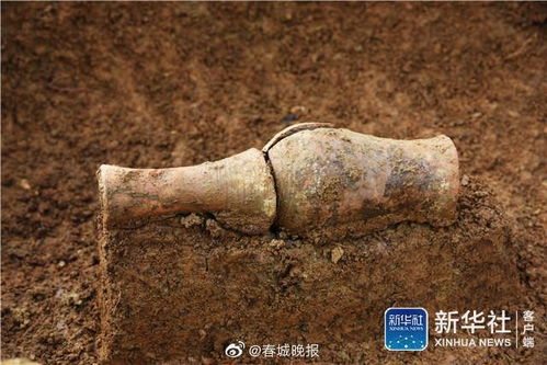 1992年至1994年，在河南郑州八里岗遗址发掘了长26米、深7米的八排房屋...