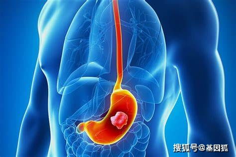 生肖与风水：对健康运势的影响