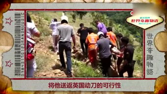 铁盒里的真相与人生处处是坑