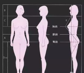 一、 健康的身体是命运的基础