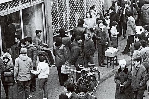四、跨年代对比解析框架搭建