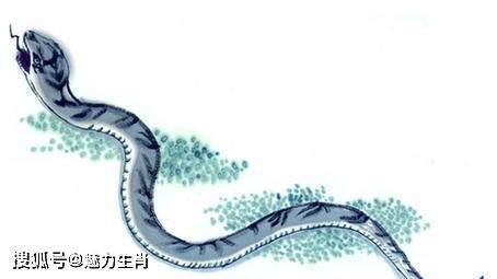 1977年出生的属蛇人在2026年会有丧事吗？