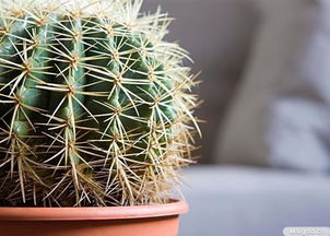 一、 惯与方位选择的理论依据及其实际应用