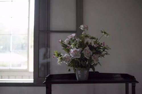 客厅的水培布置原则