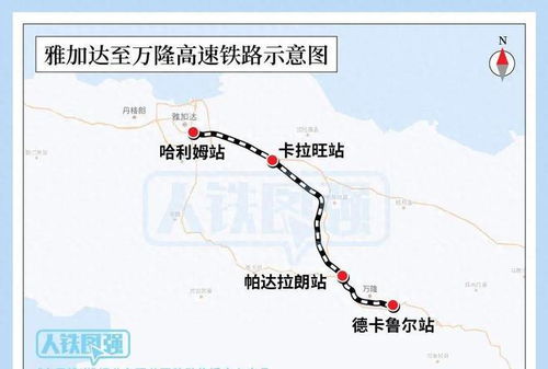 从漯河出发：我与火腿肠的不解之缘