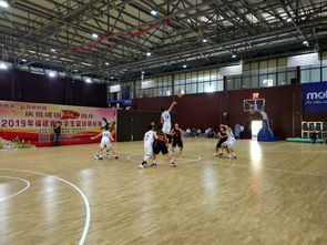 球场奇遇记：2026年魔改版