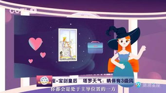 整体概述与研究方法论