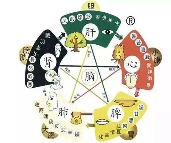 姓名五格生克关系与人体五脏内在联系之类比