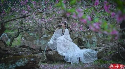 二月下旬桃花盛开，哪个星座将迎来凤凰于飞，爱如潮水的美好时光？