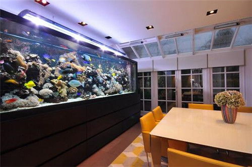 6．鱼缸位置错误