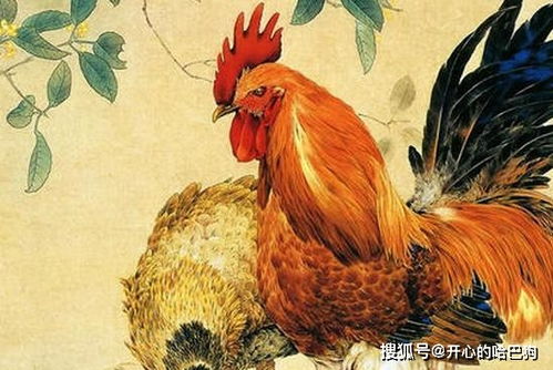 2026年属鸡人和属马人婚姻财运会好吗？