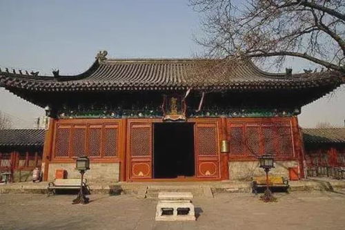三、禅修班的内容与效果——从呼吸到顿悟