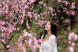三、 大运流年对“双桃花”女命的具体影响