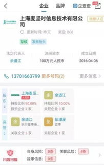 4．投资项目诱导与财务风险因素交织