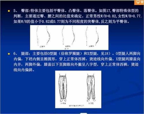 八、 服装人体工程项目学视角下的人—服装—周边环境系统解析（辅助论证）