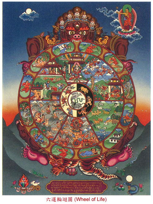 六道轮回对应的生肖是什么？六道轮回打一数字的含义是什么？