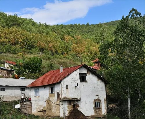 一、 阴宅与阳宅之概念界定及其本质差异