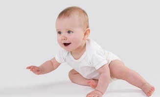 一、鸡宝宝的命名缘起——五月的春风里藏着的“小啼鸣”