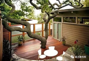 应对措施与化解方法