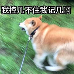 笑声响起