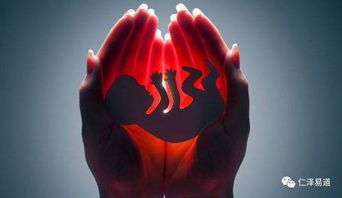 2. 道教及本土信仰中的超自然观念