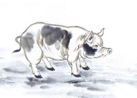 属蛇属猪财运如何？女士属猪转运最旺的物件是什么？