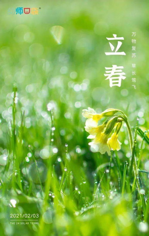 立春前是哪个节气？立春在二十四节气中排第几个？