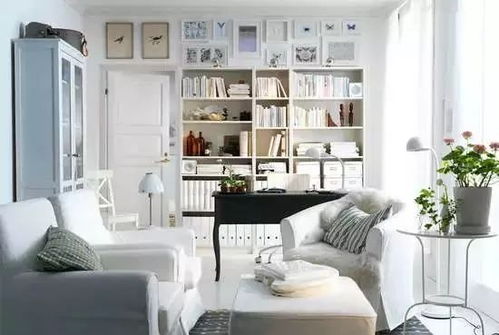 一、 泰国斗鱼对居家风水的积极影响——从象征意义到气场调节