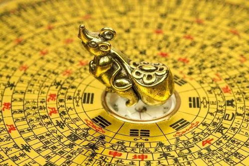 三、 房屋财位中的吉祥物配置与财富有增值