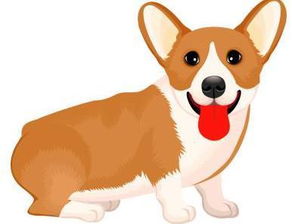 2026年属狗的人能否金榜题名？属兔的人2026年最强助学业物件是什么？