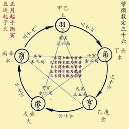 主星与辅星之角色分配
