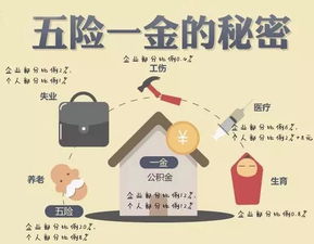 二、 事业潜嫩与职场定位