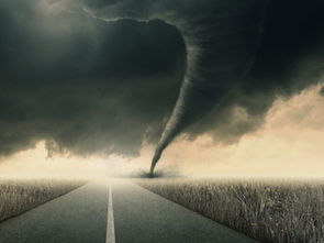 男人梦见蝎子预示着什么？是好运还是不祥之兆？