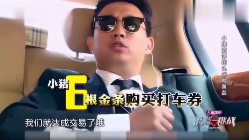 小猪罗志祥丁火八字命理如何影响其命运走向？