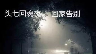 案例分析：成功超度实例背后的机制探讨
