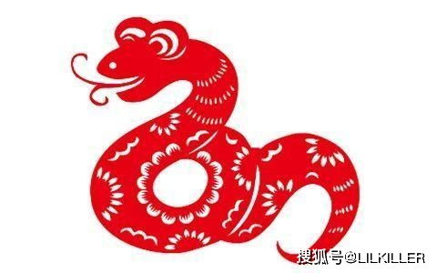 属马属蛇的夫妻事业是否不和，他们的关系是否和谐呢？