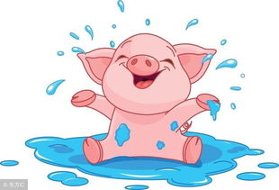 猪猪の恋爱密码